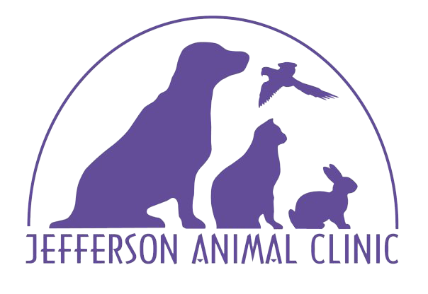 Jefferson Animal Clinic Home
